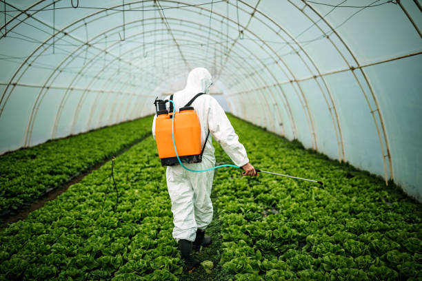 Best Pest Control for Restaurants  in Buckhead, GA