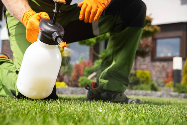 Best Pest Prevention Services  in Buckhead, GA