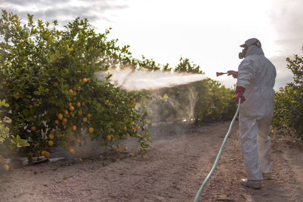 Best Affordable Pest Control Services  in Buckhead, GA