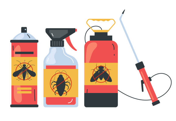 Best Spider Control Near Me  in Buckhead, GA