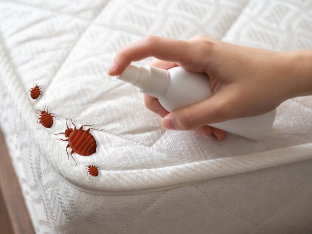 Pest Control Cost in Buckhead, GA