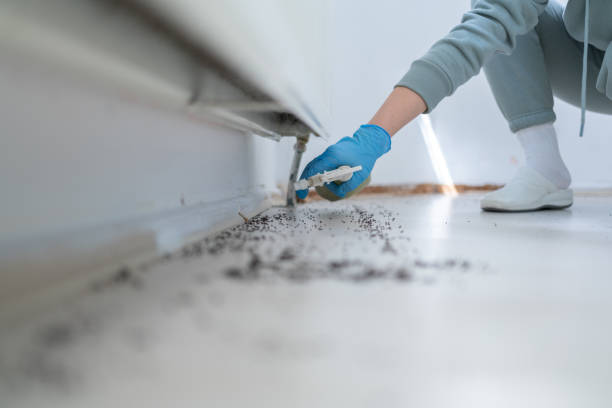 Pest Control Cost in Buckhead, GA