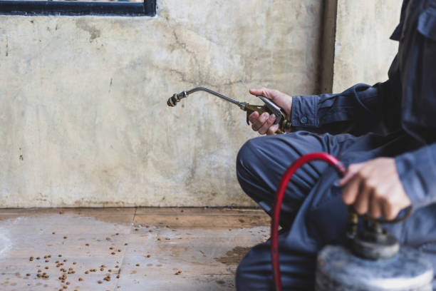 Best Pest Control Cost  in Buckhead, GA